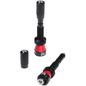 Santa Cruz Fillmore Valves, 90mm, Black, Tubeless