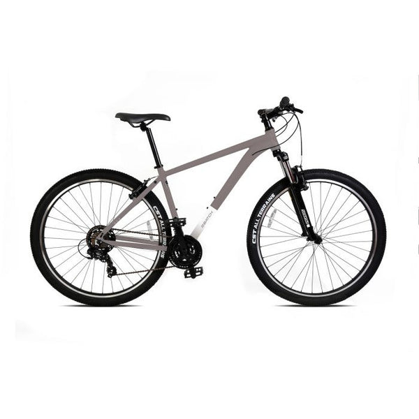 Mountain bikes in stock