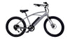 American Flyer E-Wave 2.0 Standard Pedal Assist Electric Bicycle