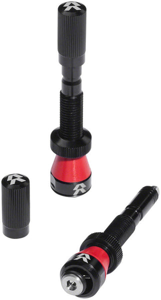 Santa Cruz Fillmore Valves, 50mm, Black, Tubeless